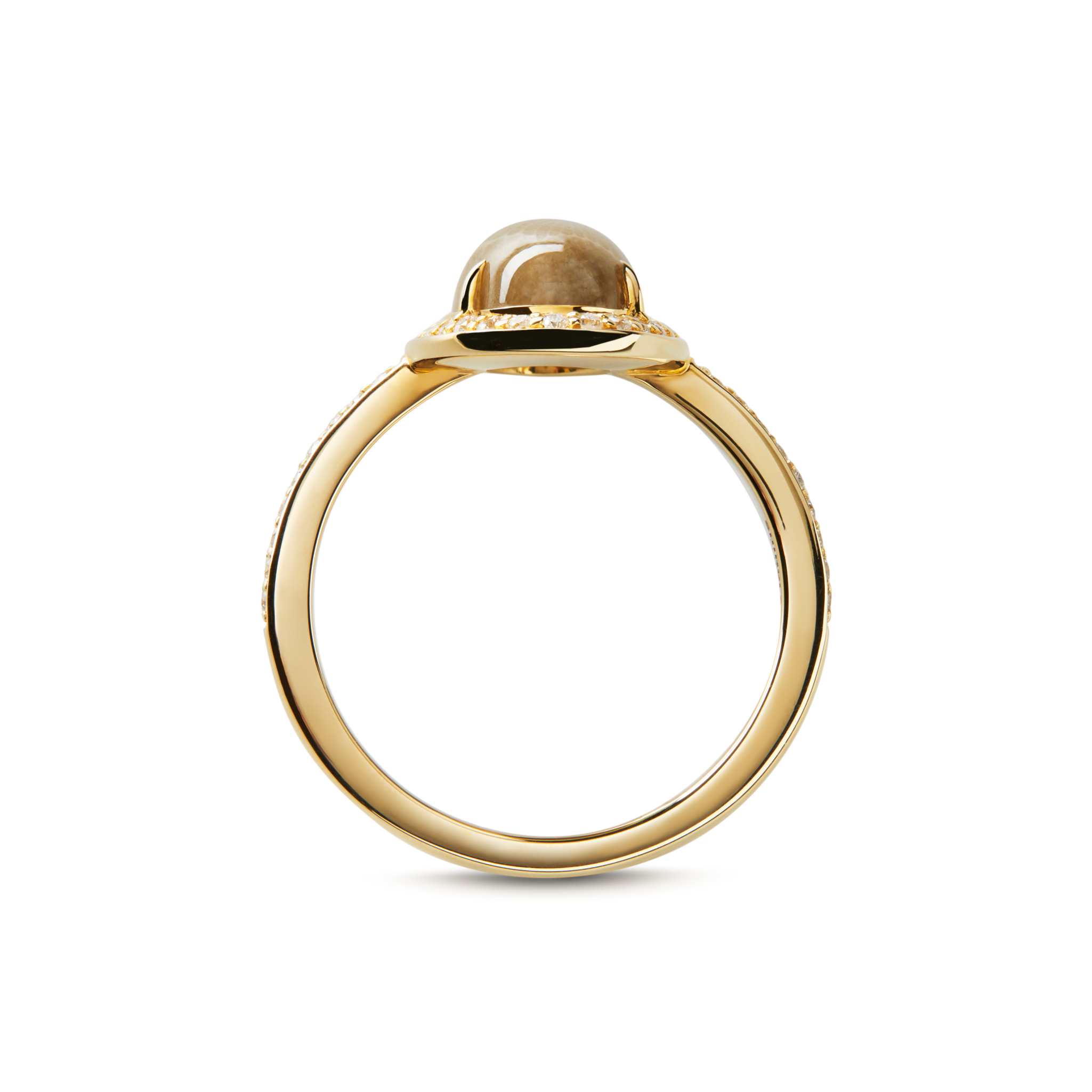 Petite Diamond Pave Petoskey Oval Ring - Yellow Gold - Image 3
