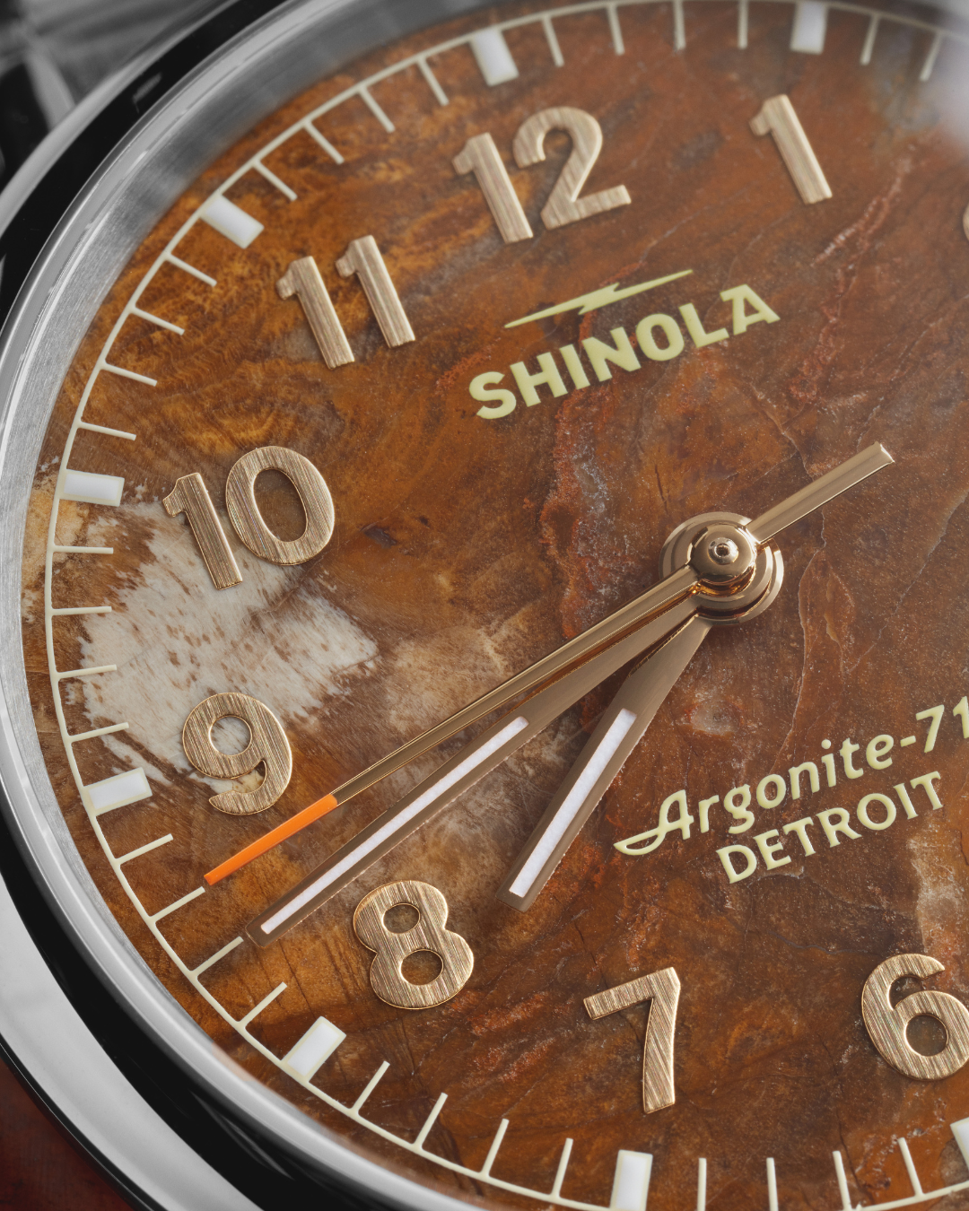 Vinton Watch - Petrified Wood - Image 2