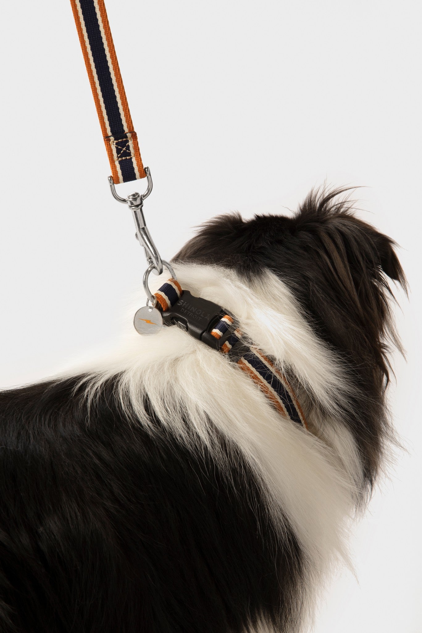 Nylon Dog Leash - Brand Stripe - Image 2