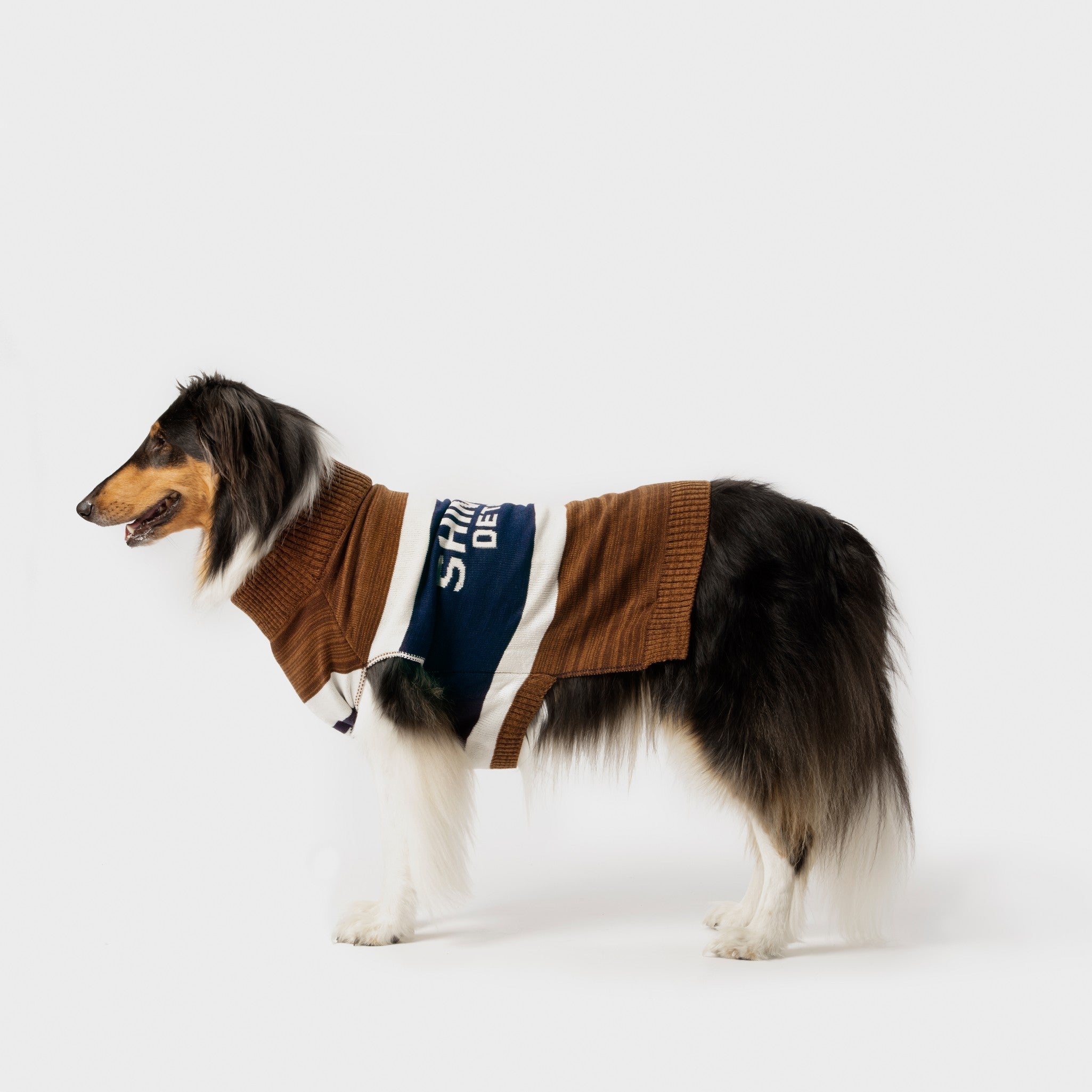 Dog Sweater - Brand Stripe / Tan - Image 2