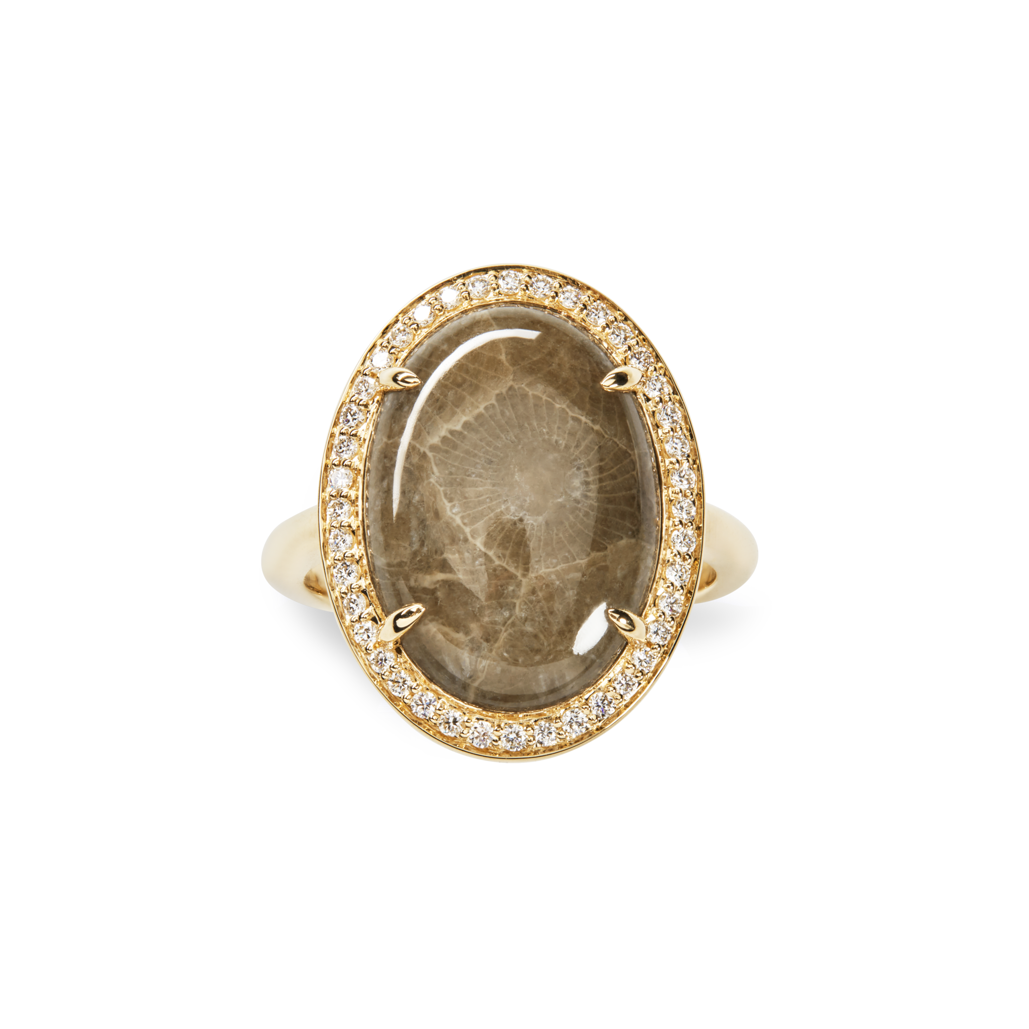 Diamond Pave Oval Petoskey Ring - Yellow Gold