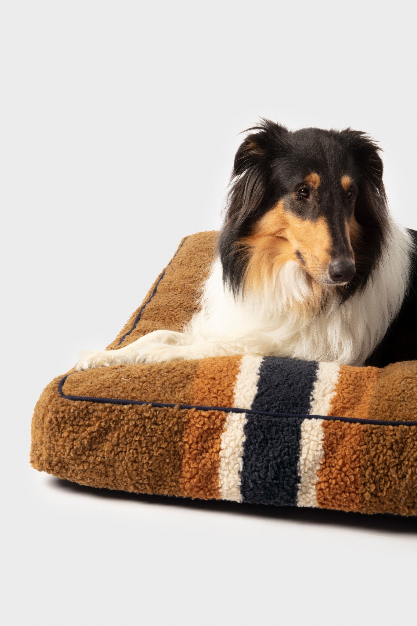 Napper Pillow Dog Bed - Stripe Brown - Image 2