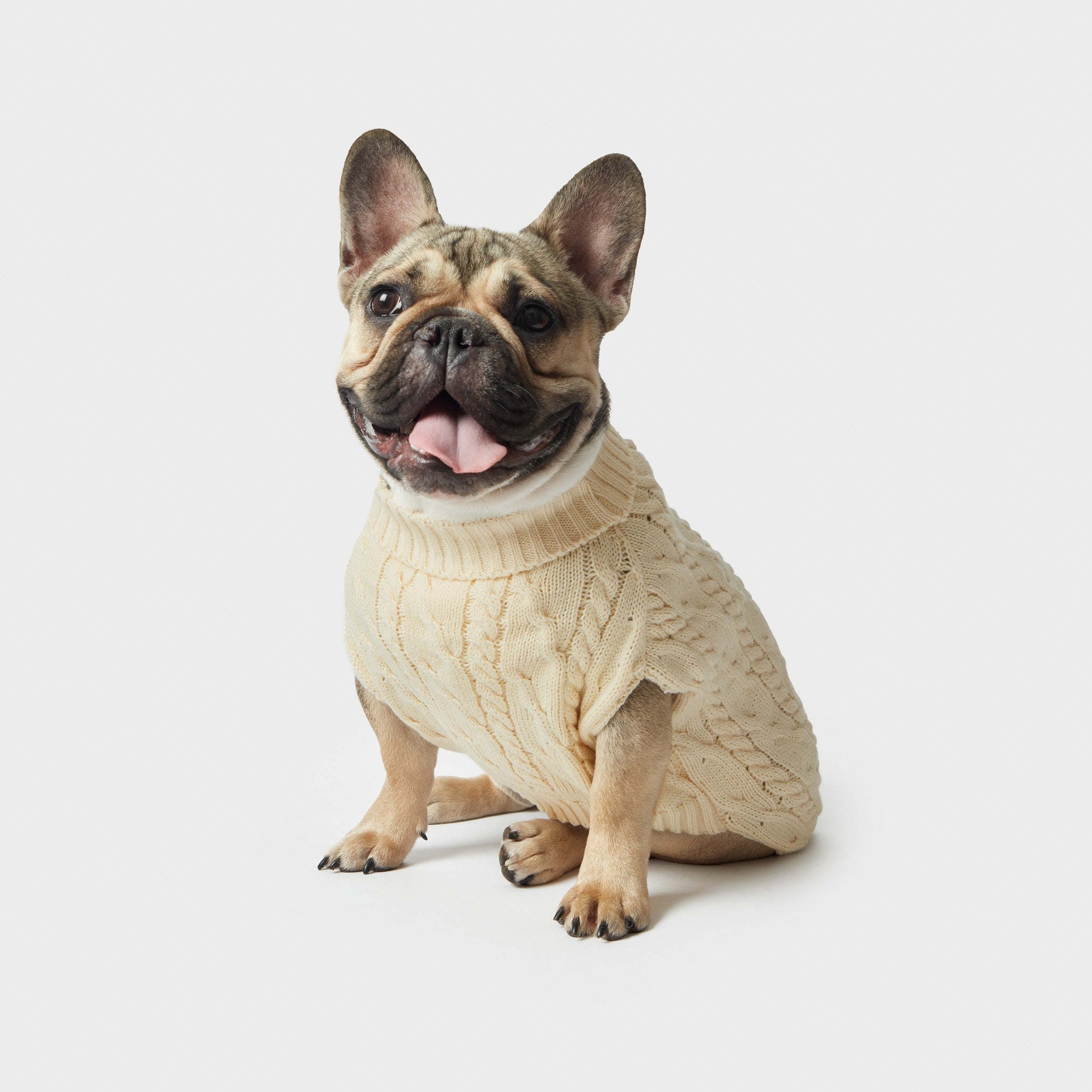 Cable Knit Dog Sweater - Ivory - Image 2